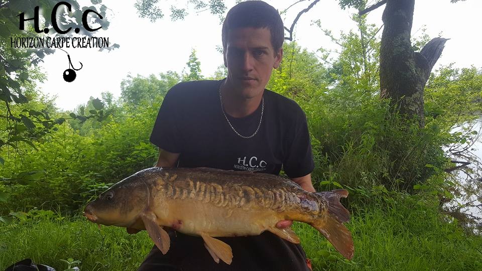 JULIEN DELHOUME - CONSULTANT HCC