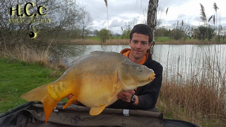 JULIEN DELHOUME - CONSULTANT HCC