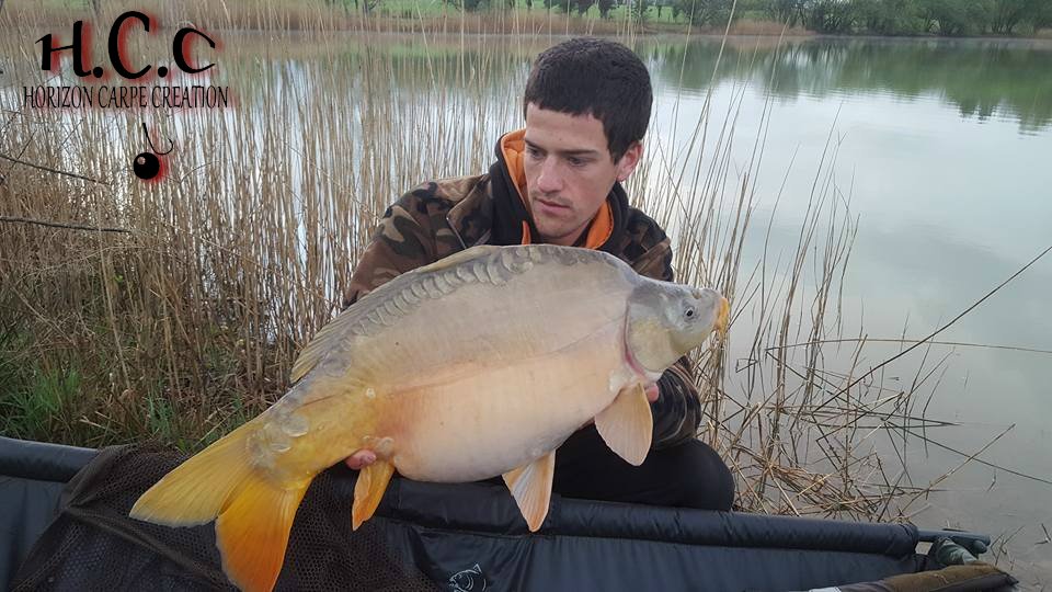 JULIEN DELHOUME - CONSULTANT HCC