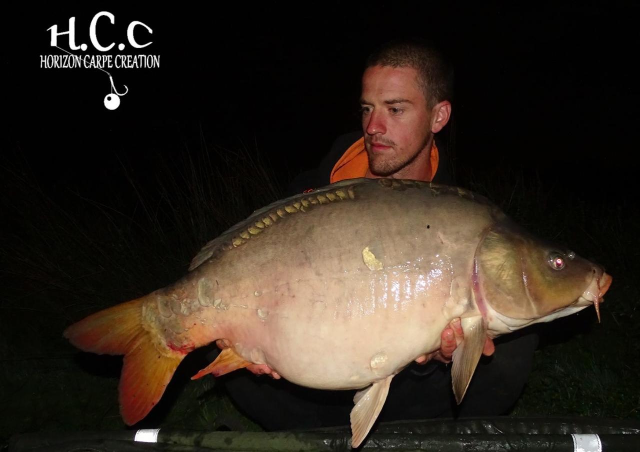 JULIEN DELHOUME - CONSULTANT HCC