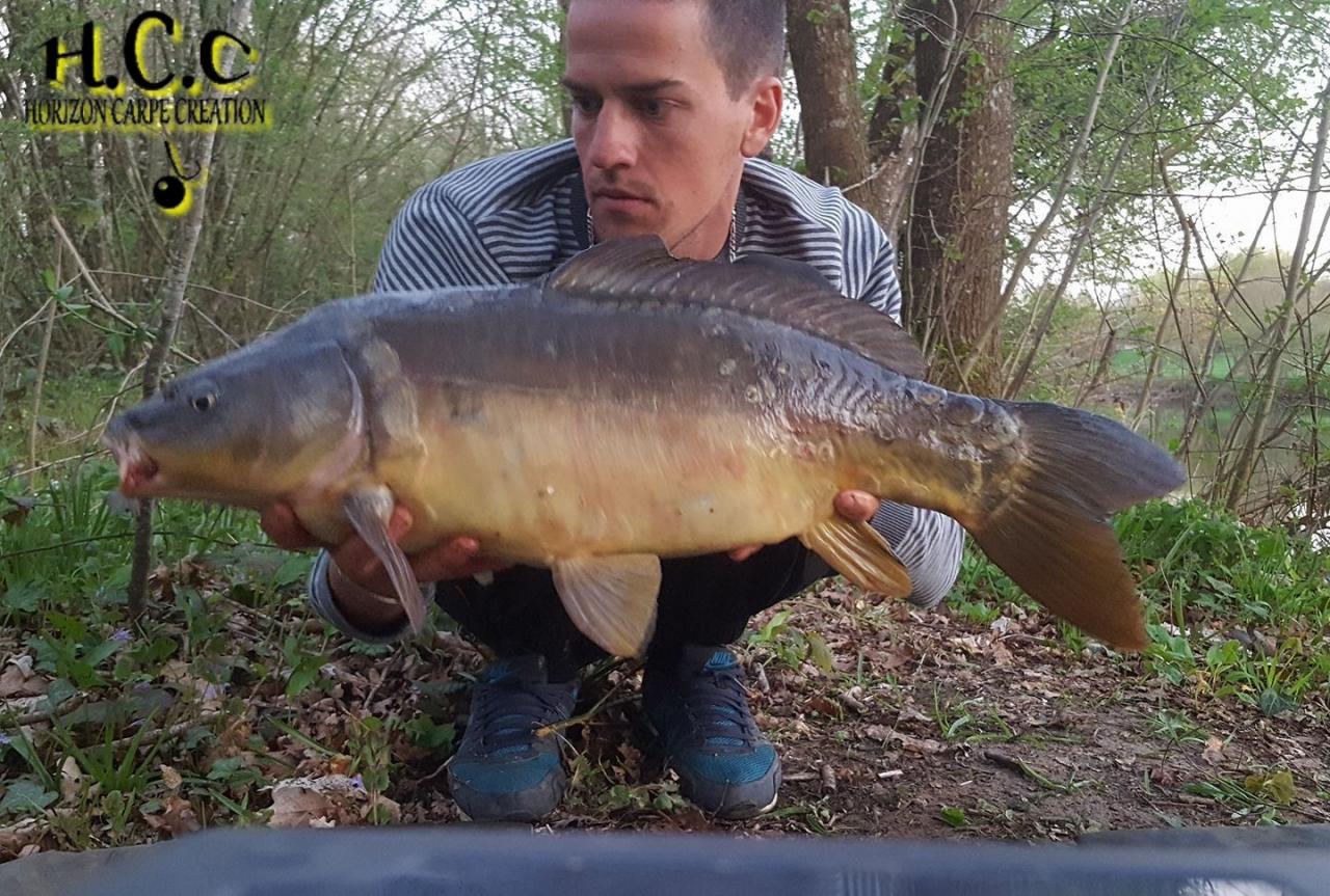 JULIEN DELHOUME - CONSULTANT HCC