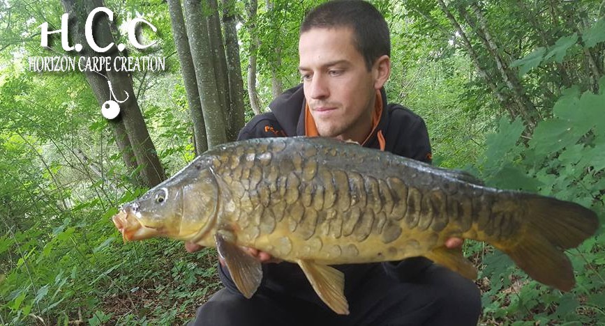 JULIEN DELHOUME - CONSULTANT HCC