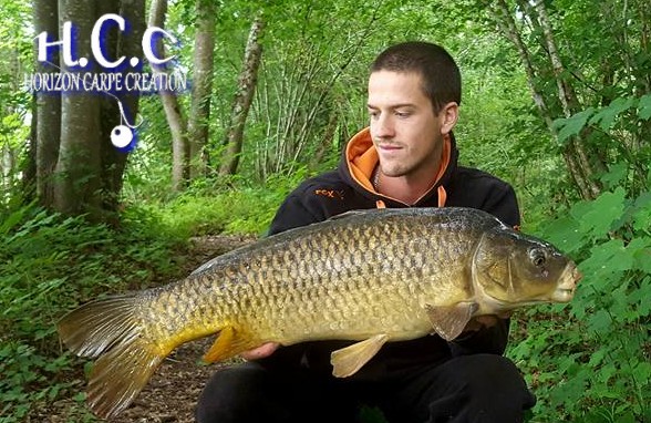 JULIEN DELHOUME - CONSULTANT HCC