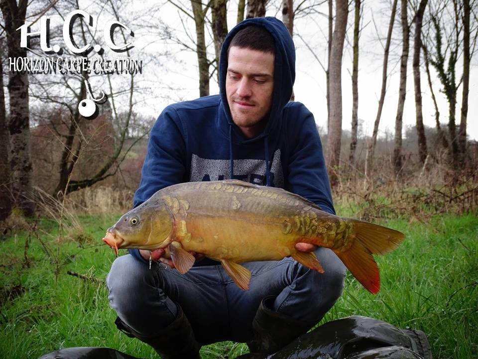 JULIEN DELHOUME - CONSULTANT HCC