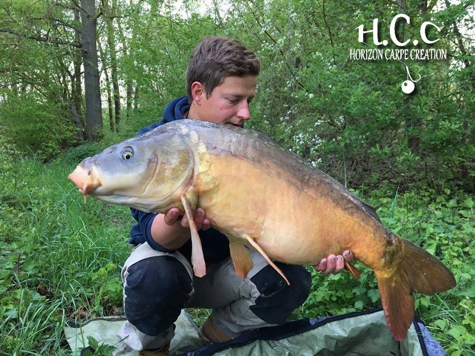 JULIEN JUILLET - CONSULTANT HCC