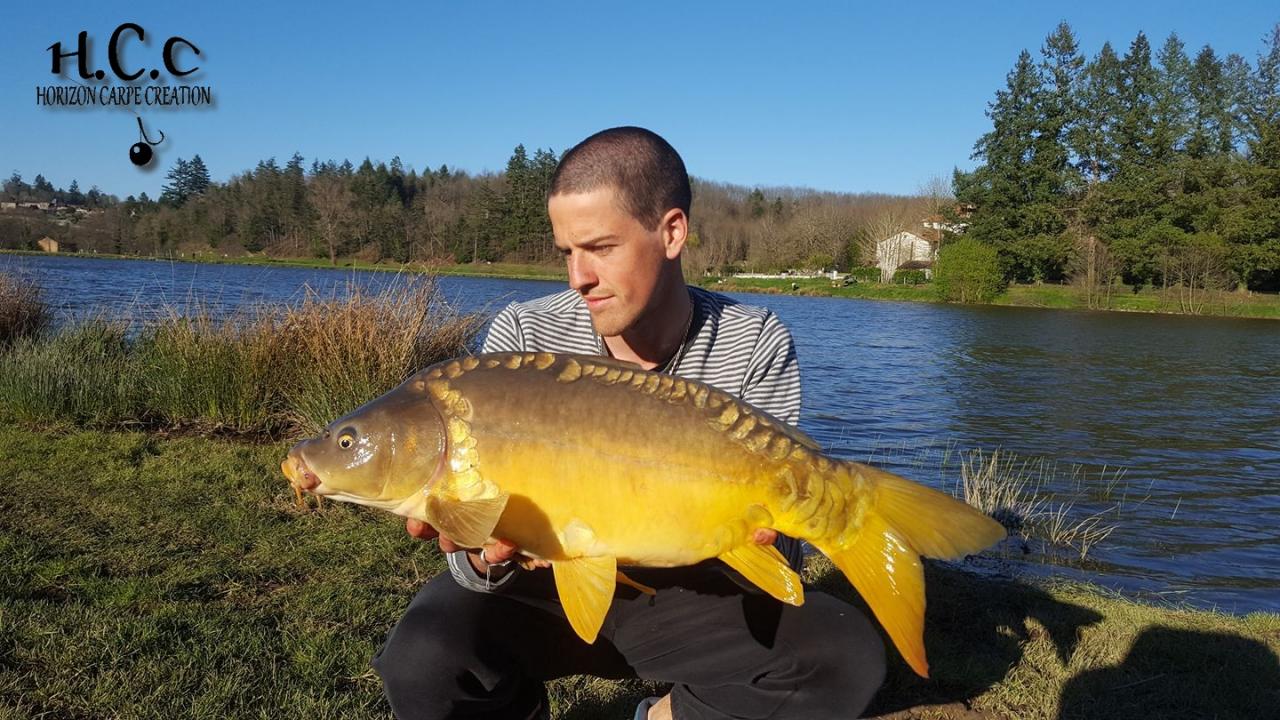 JULIEN DELHOUME - CONSULTANT HCC