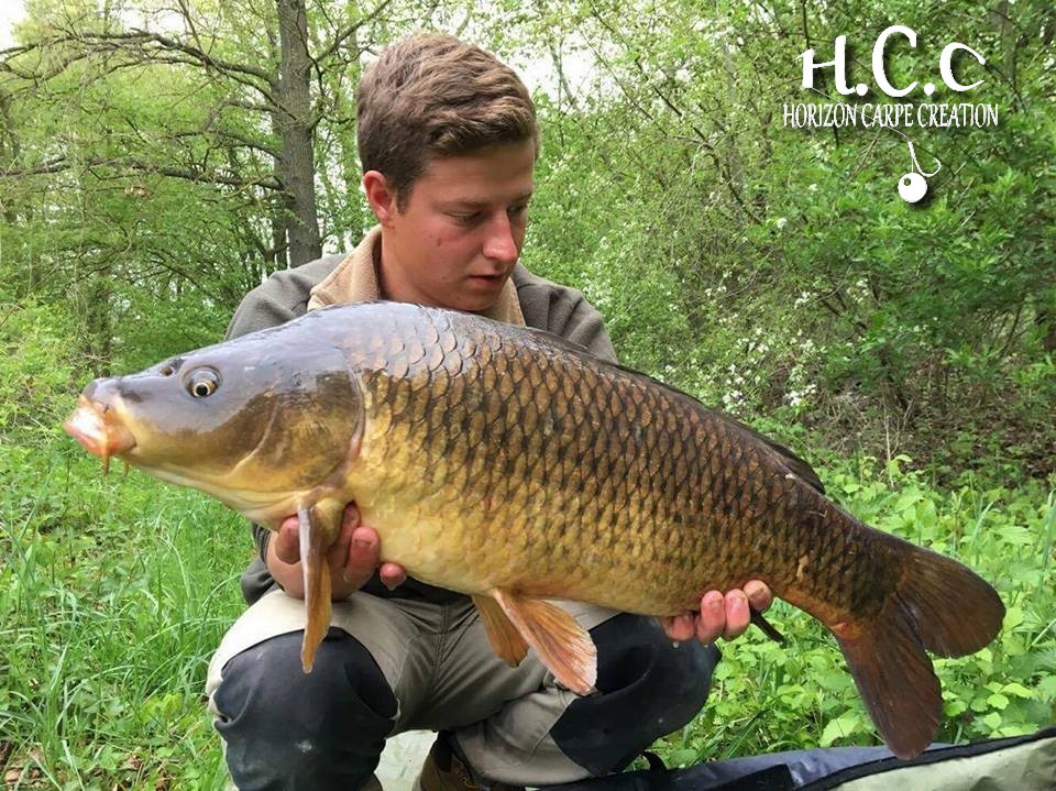 JULIEN JUILLET - CONSULTANT HCC