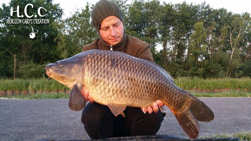 JULIEN JUILLET - CONSULTANT HCC