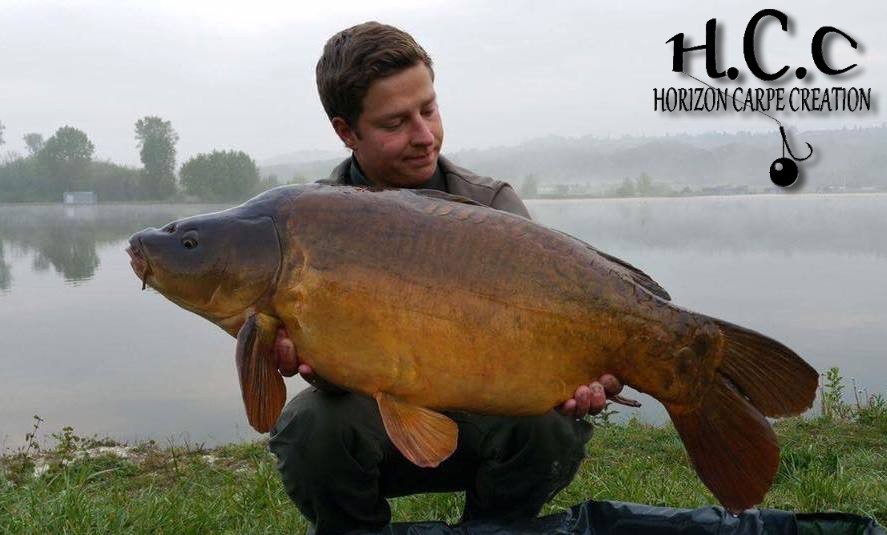JULIEN JUILLET -  CONSULTANT HCC