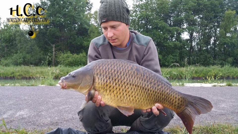 JULIEN JUILLET - CONSULTANT HCC