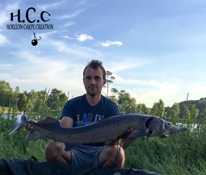 KEVIN MATHIEU - CLIENT HCC