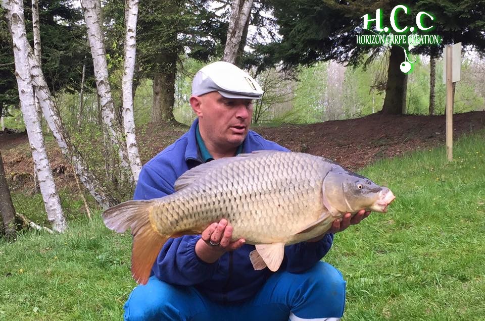 LAURENT AUBRE - TESTEUR HCC