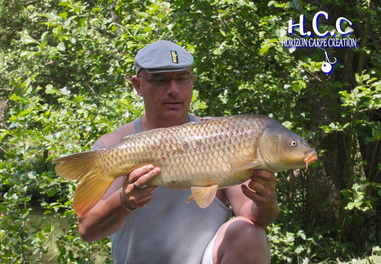 LAURENT AUBREE - TESTEUR HCC