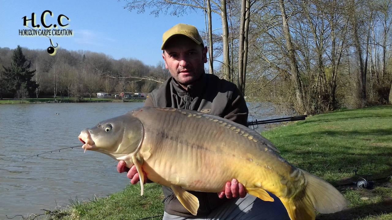 LAURENT - CLIENT HCC