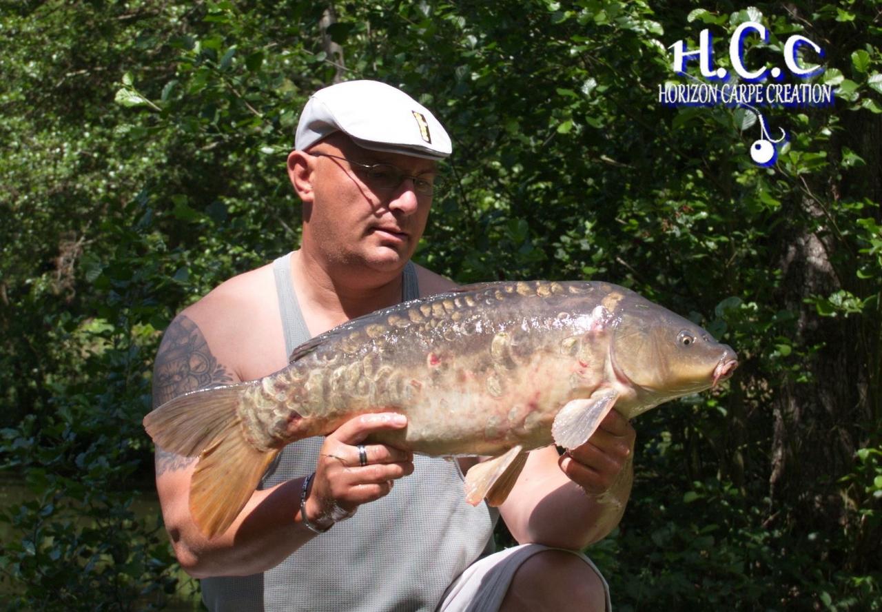 LAURENT AUBREE - TESTEUR HCC