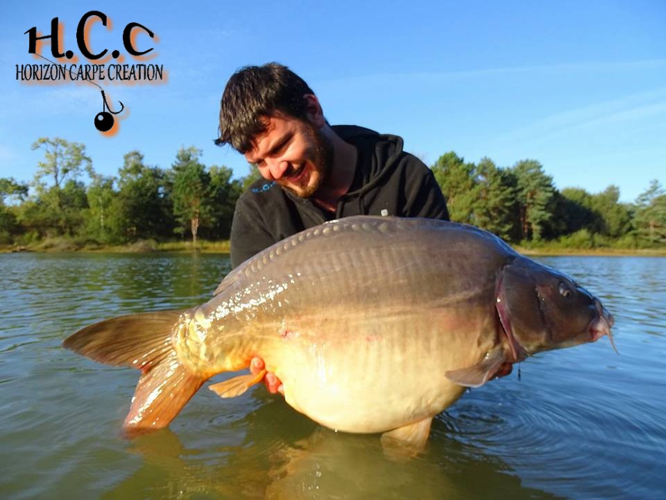 MICKAEL LAURENT - TESTEUR HCC