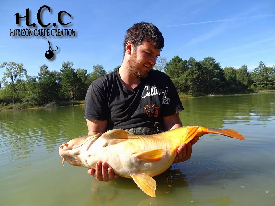 MICKAEL LAURENT - TESTEUR HCC
