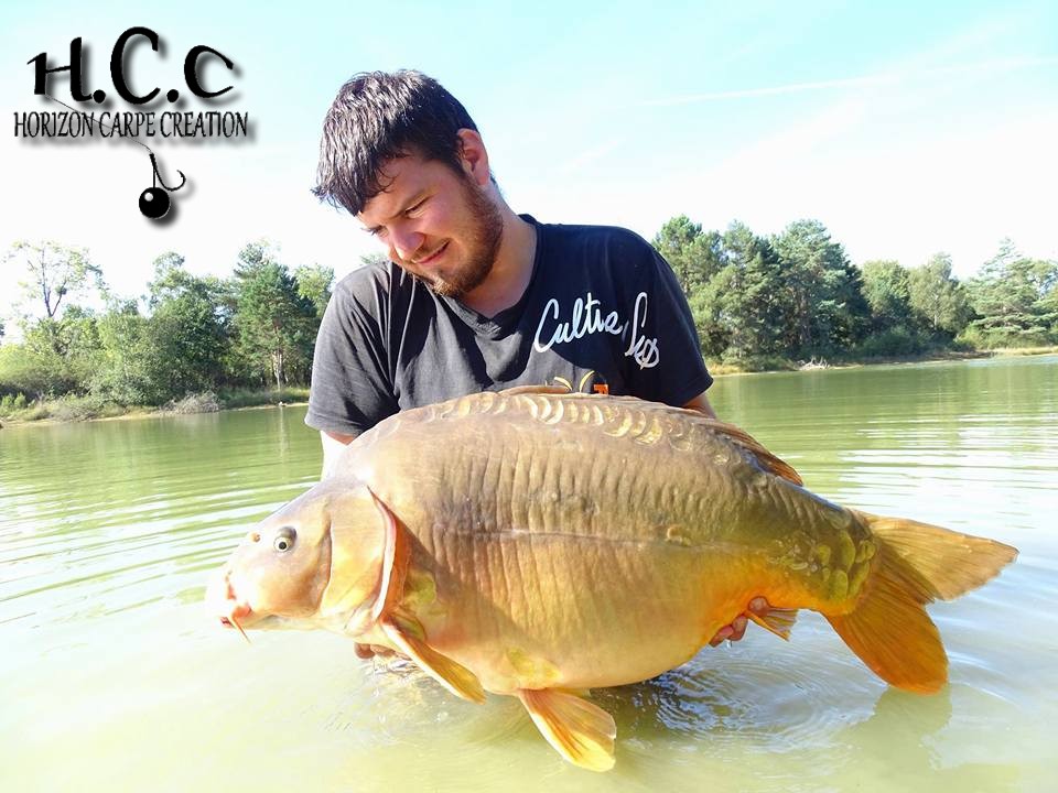 MICKAEL LAURENT - TESTEUR HCC