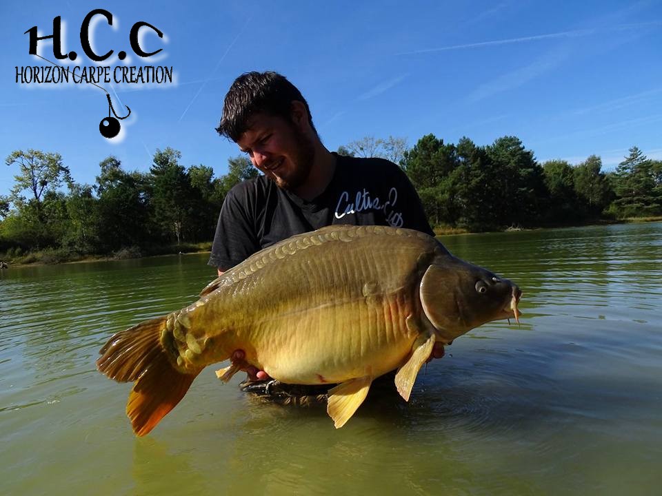 MICKAEL LAURENT - TESTEUR HCC