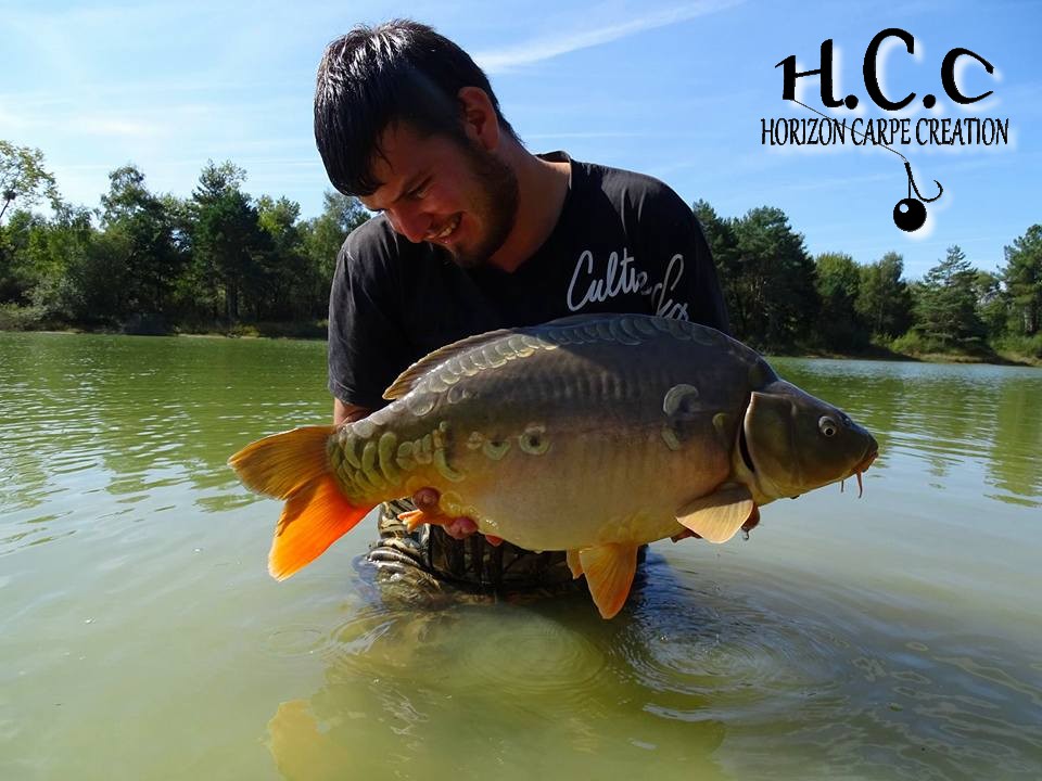 MICKAEL LAURENT - TESTEUR HCC