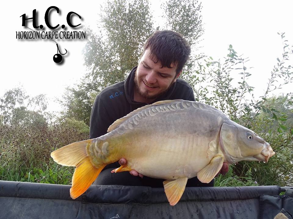 MICKAEL LAURENT - TESTEUR HCC