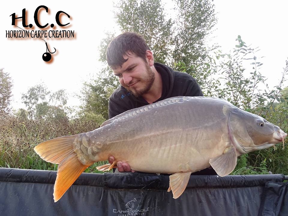 MICKAEL LAURENT - TESTEUR HCC