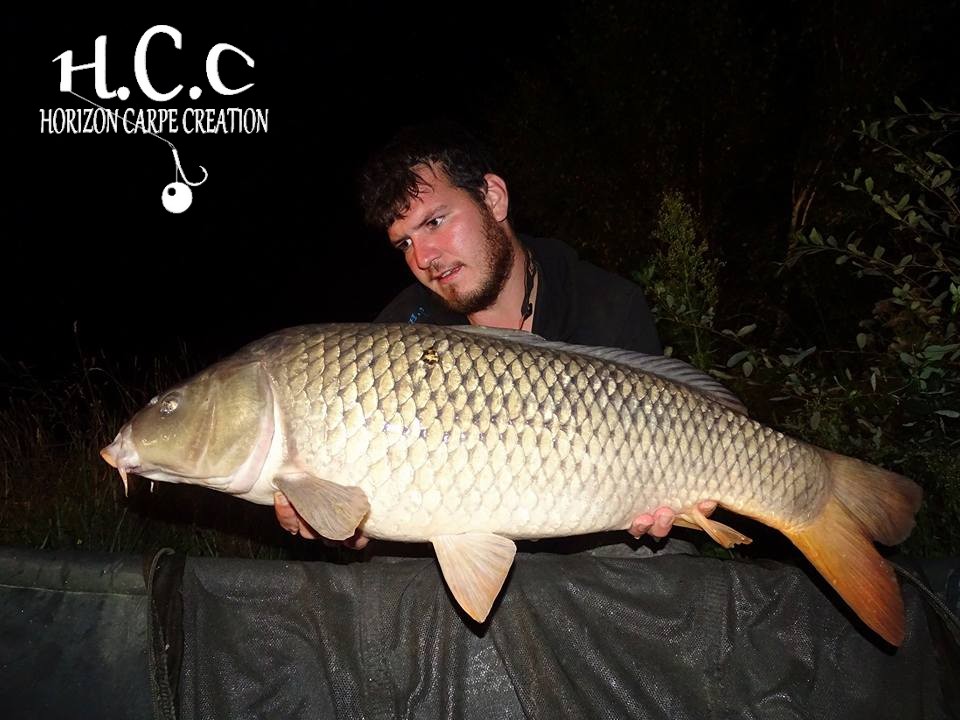 MICKAEL LAURENT - TESTEUR HCC