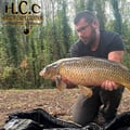 COPAIN DE LOIC KERN - CONSULTANT HCC