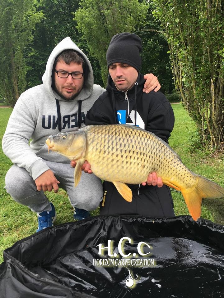 LOIC KERN - CONSULTANT HCC