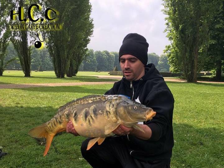 LOIC KERN - CONSULTANT HCC