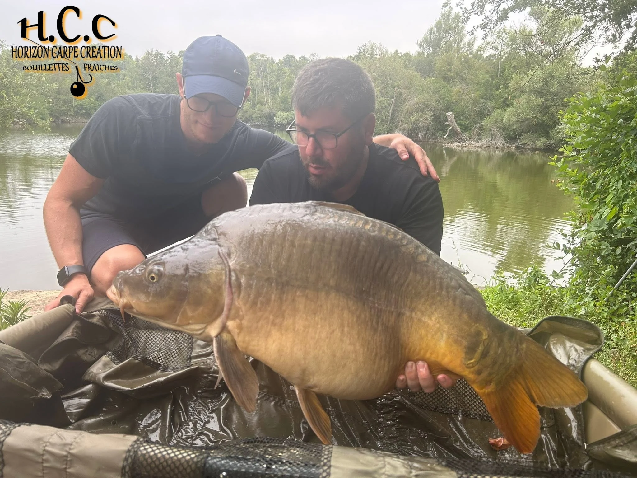 LOIC KERN - CONSULTANT HCC