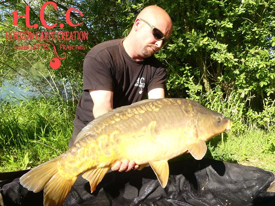 LUDOVIC DOE - TESTEUR HCC