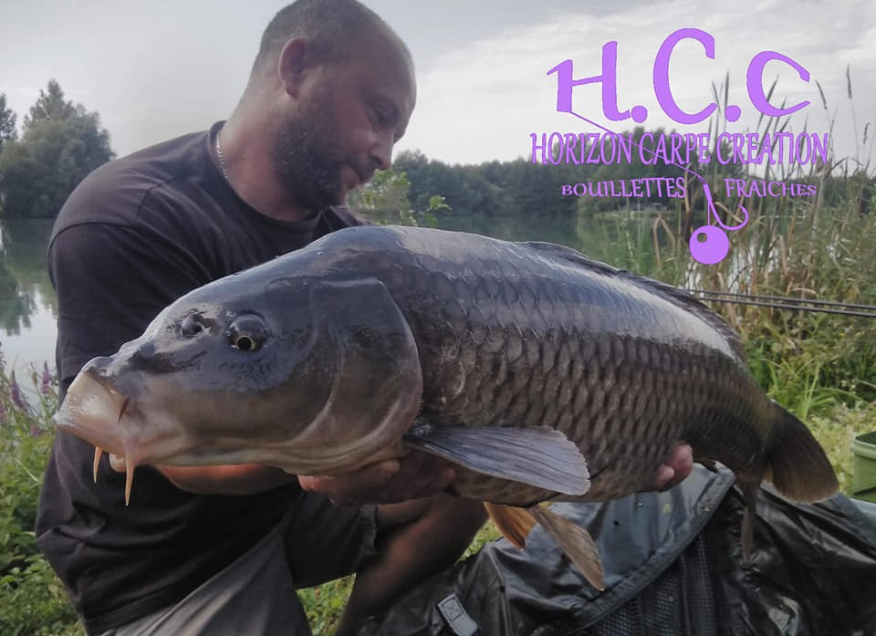 LUDOVIC DOE - TESTEUR HCC ARDENNES