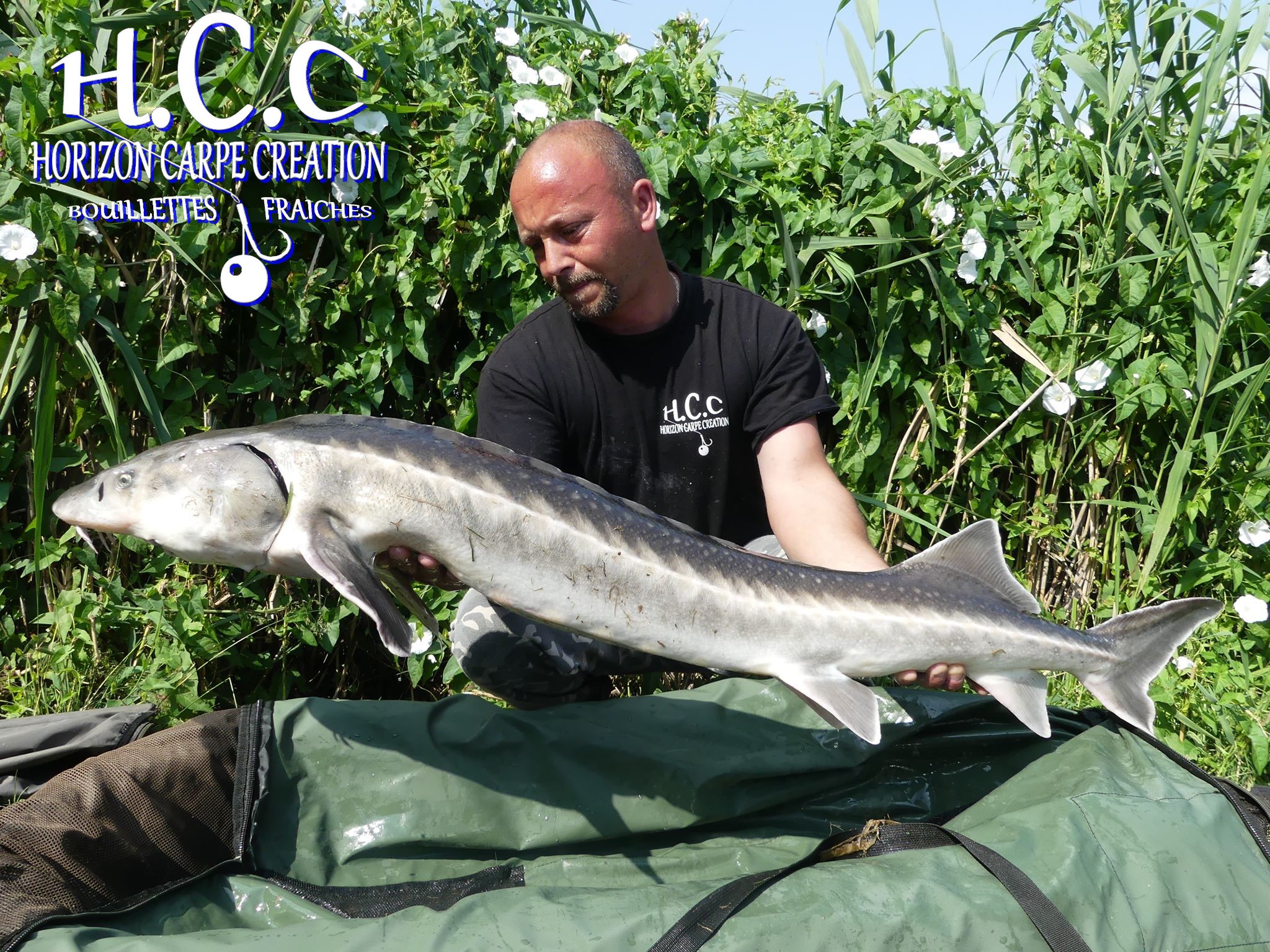 LUDOVIC DOE - TEAM HCC