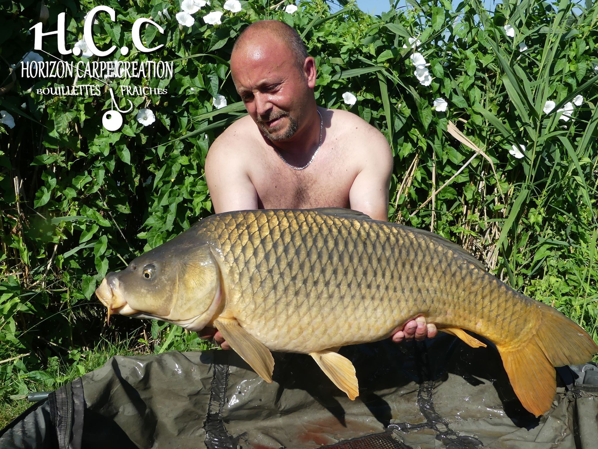 LUDOVIC DOE - TEAM HCC