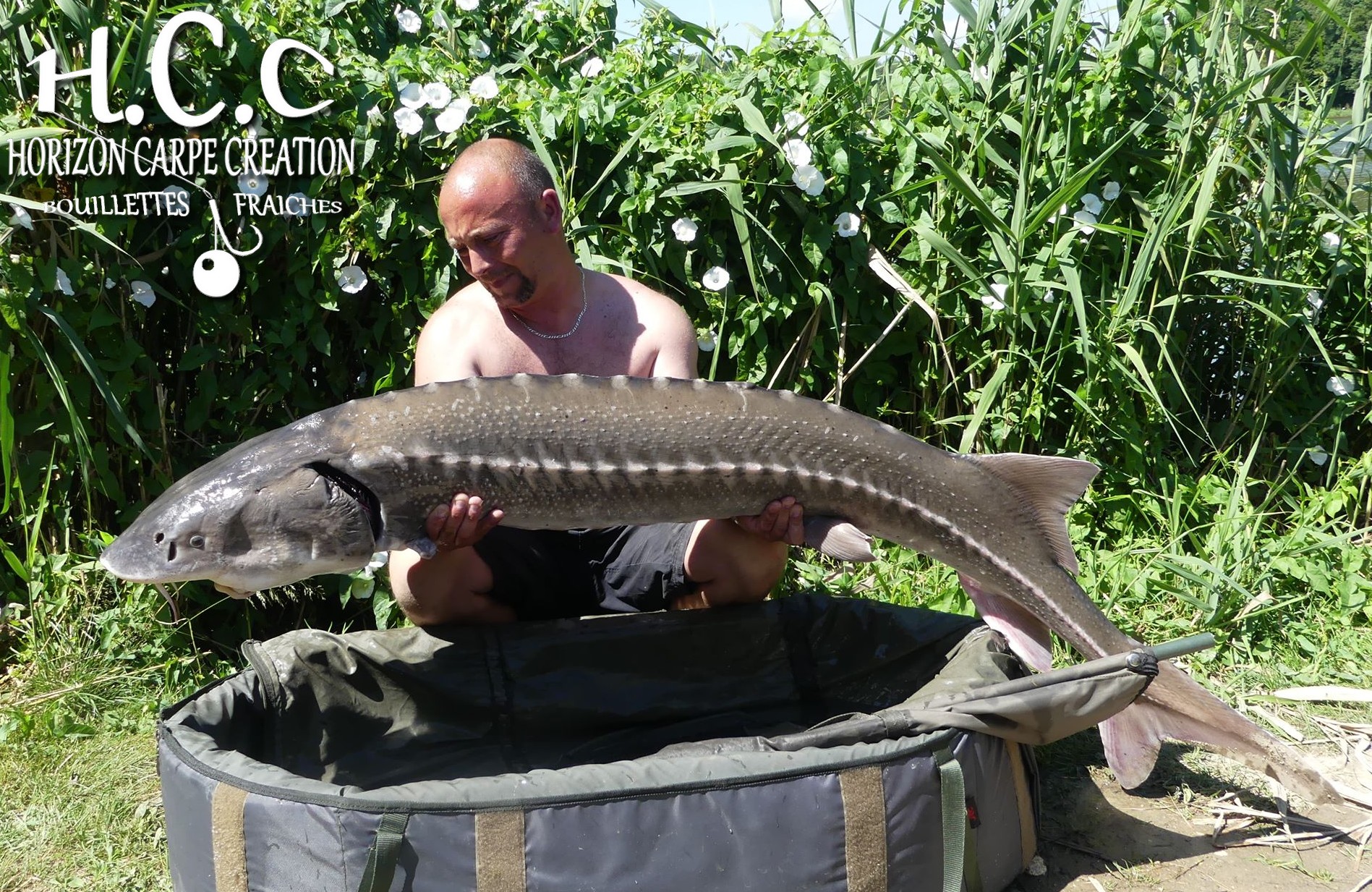 LUDOVIC DOE - TEAM HCC