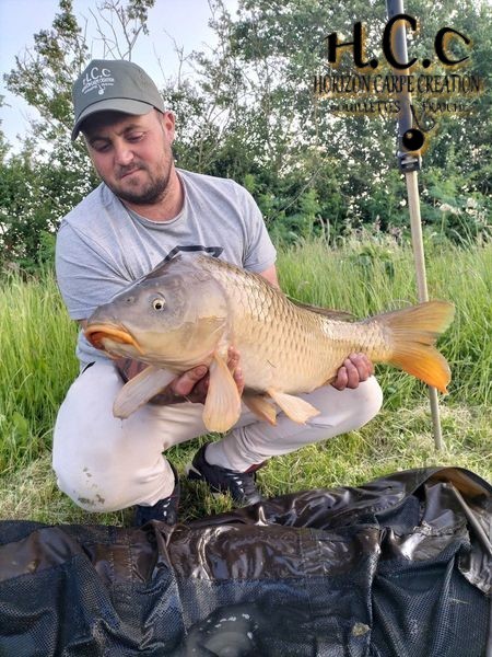 LUDOVIC RAYNEAU - CLIENT HCC