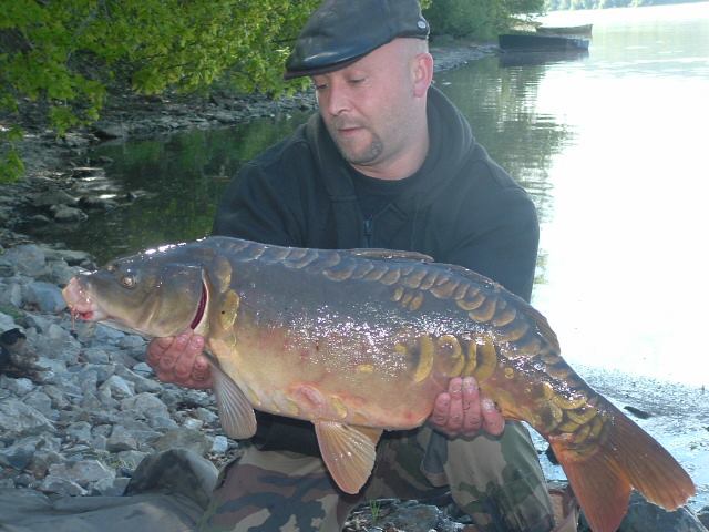 LUDOVIC DOE - TESTEUR HCC