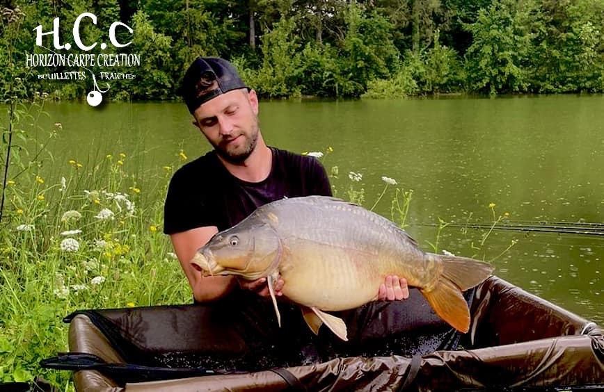 LUK DHOTEVANPOUCKE - CONSULTANT HCC