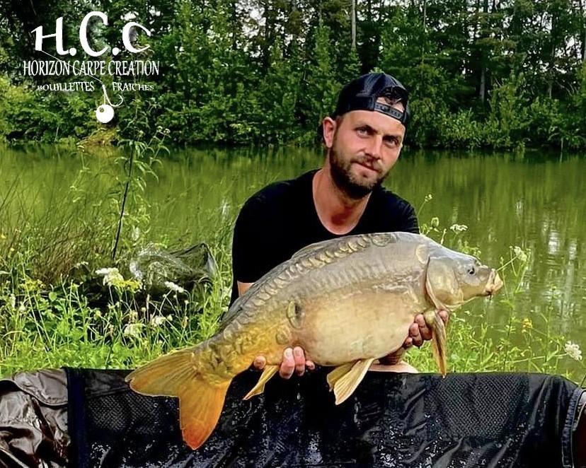 LUK DHOTEVANPOUCKE - CONSULTANT HCC