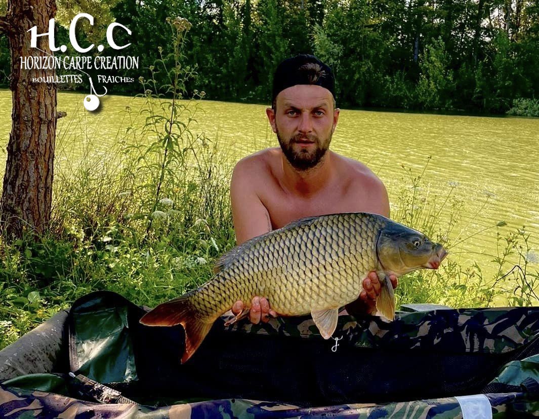 LUK DHOTEVANPOUCKE - CONSULTANT HCC