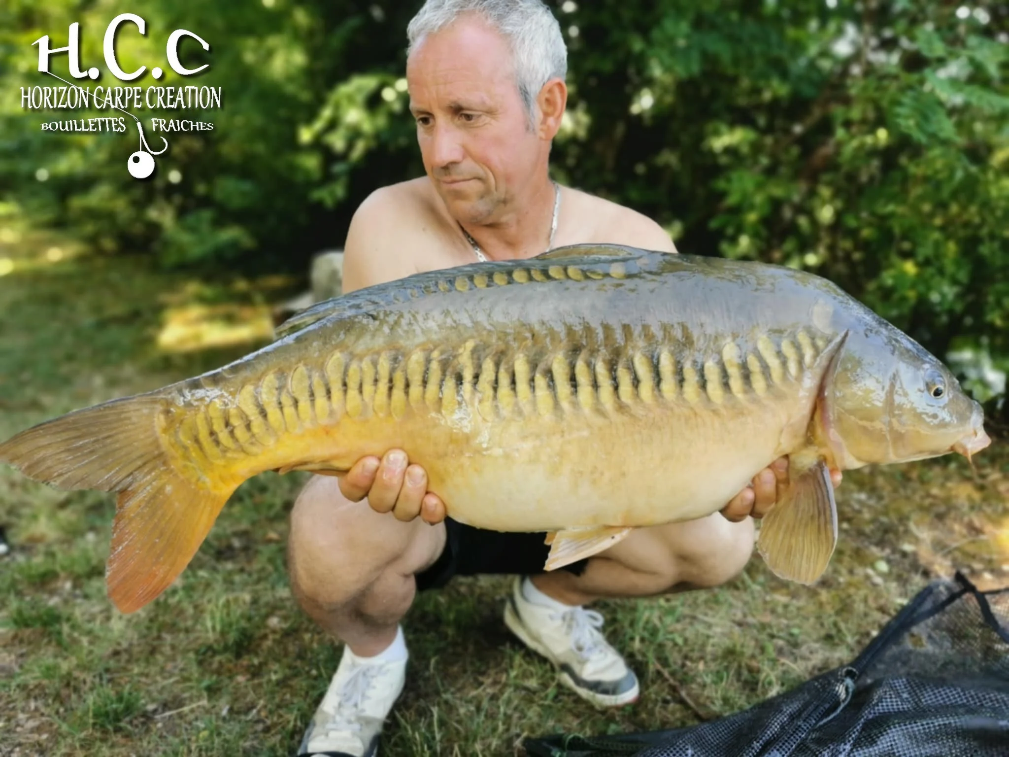 MANU NACQUEMOUCHE - CONSULTANT HCC