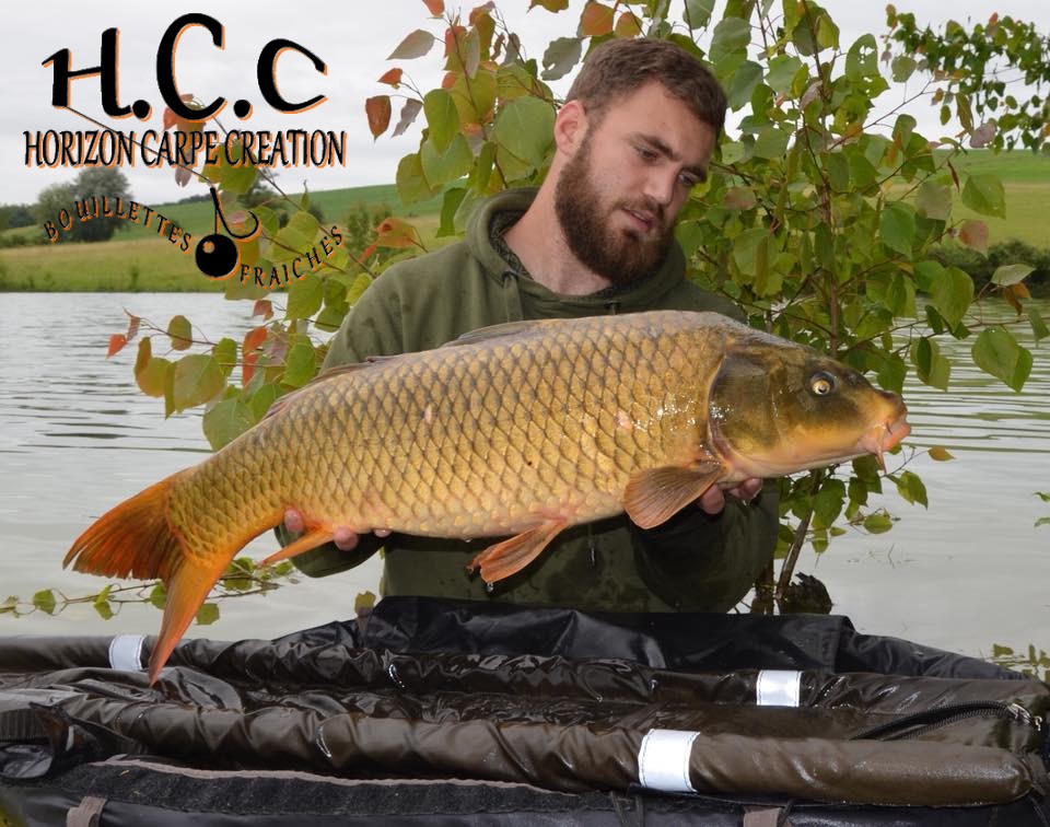 MAXENCE PEREZ - CLIENT HCC