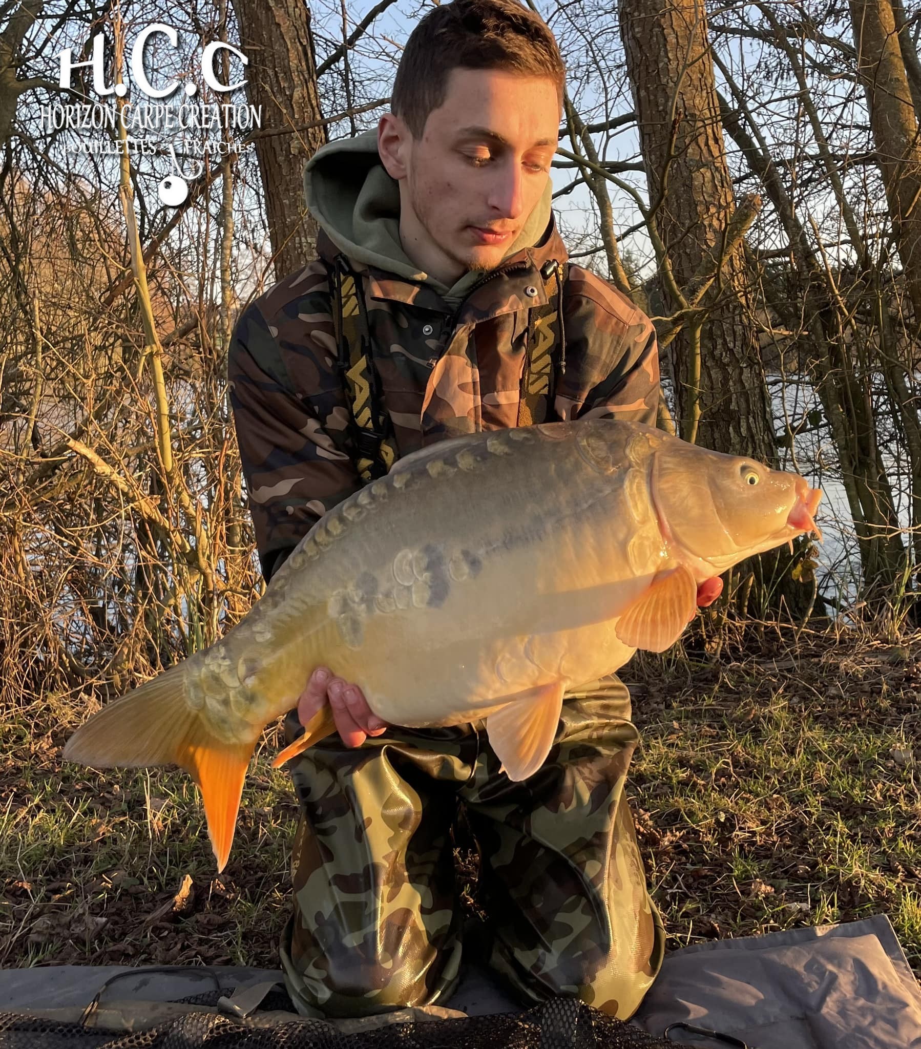 MAXENCE PETIT - CONSULTANT HCC