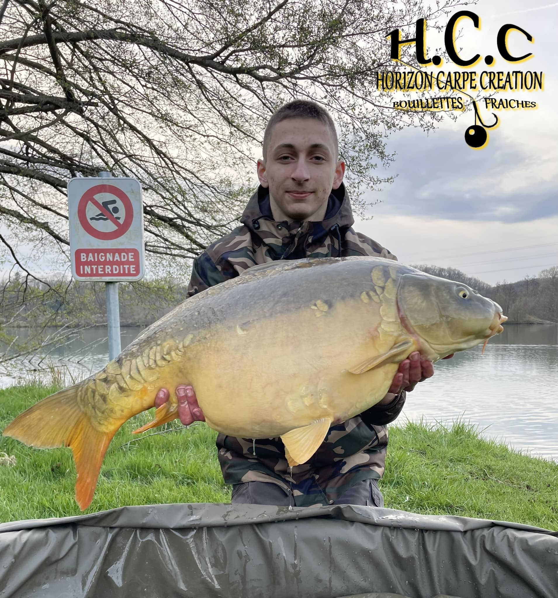 MAXENCE PETIT - CONSULTANT HCC