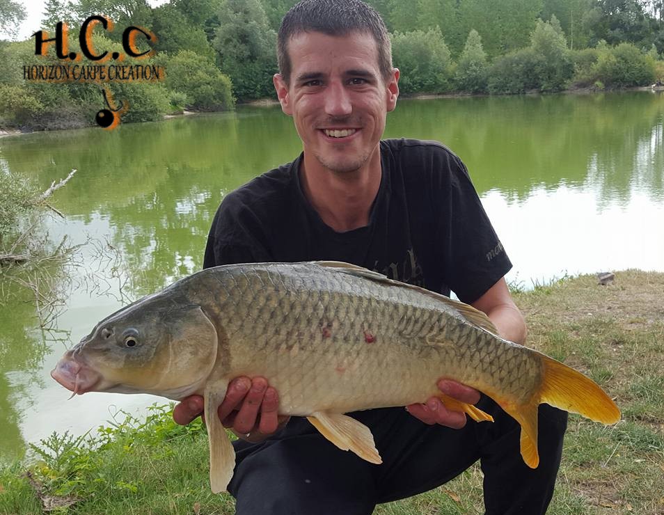 MAXIME POSE - CONSULTANT HCC