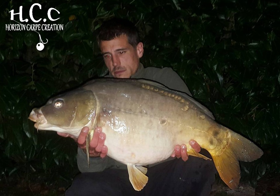 MAXIME POSE - CONSULTANT HCC