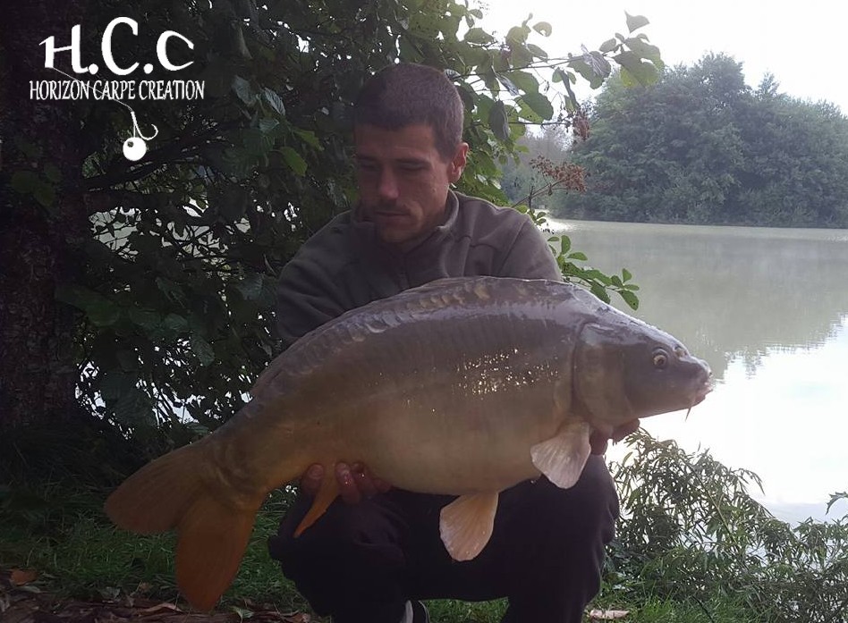 MAXIME POSE - CONSULTANT HCC