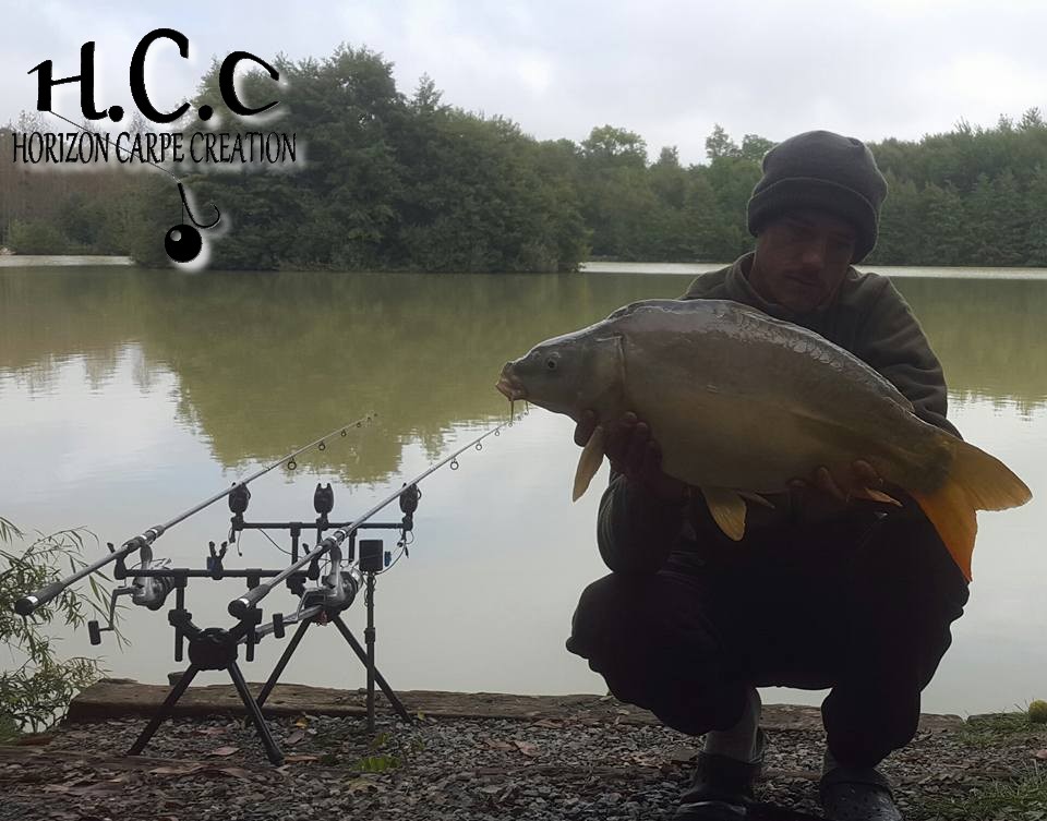 MAXIME POSE - CONSULTANT HCC