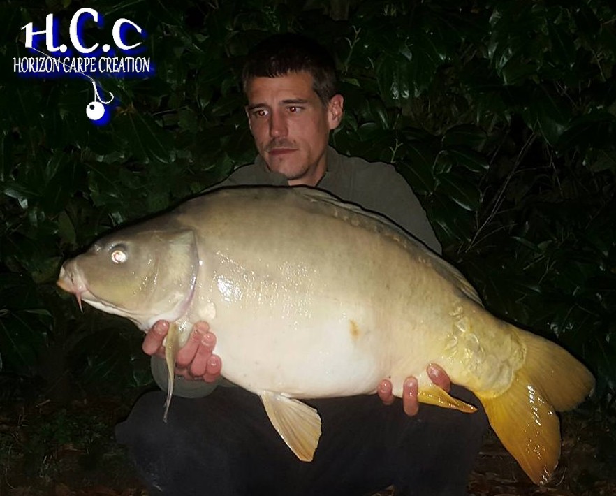 MAXIME POSE - CONSULTANT HCC